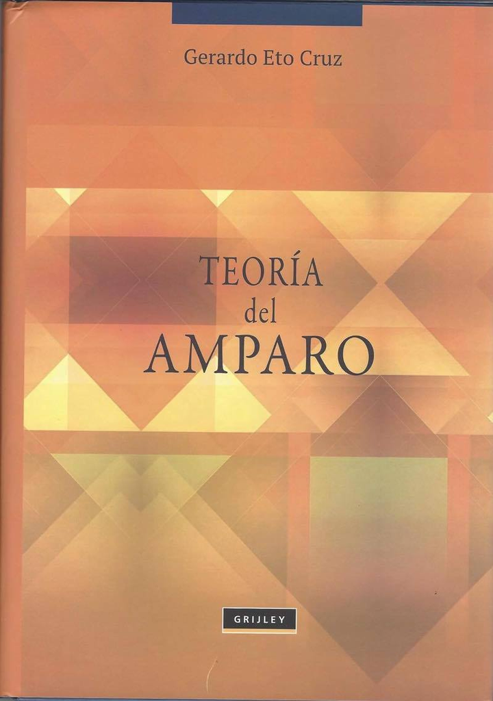 TEORÍA DEL AMPARO