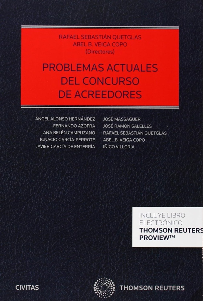 PROBLEMAS ACTUALES DE LOS CONCURSOS DE ACREEDORES