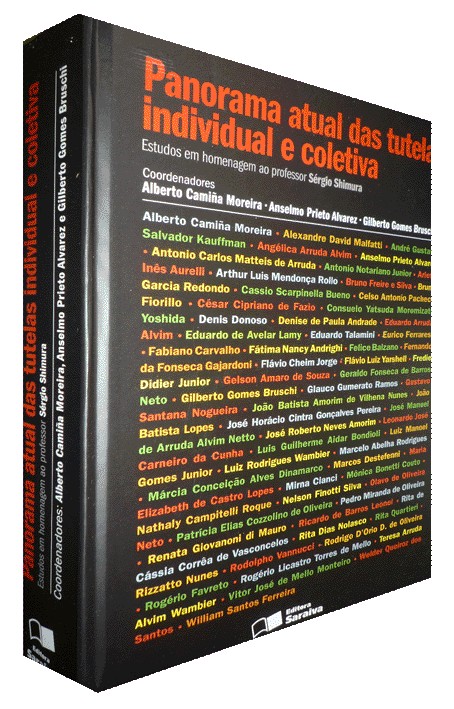 PANORAMA ATUAL DAS TUTELAS INDIVIDUAL E COLETIVA