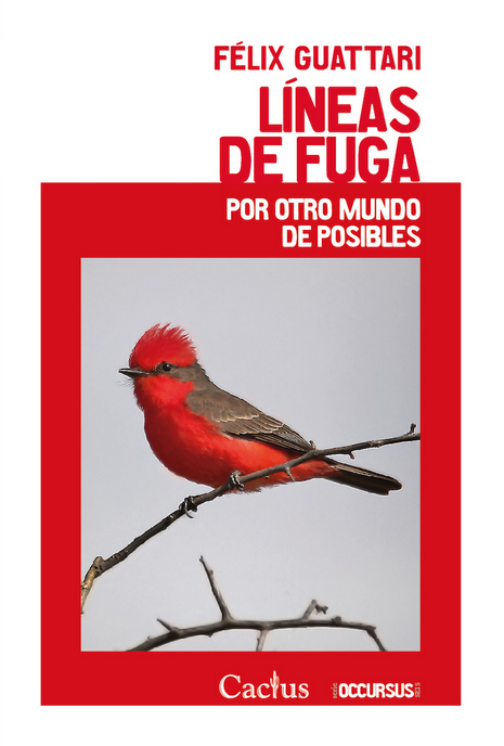 LÍNEAS DE FUGA