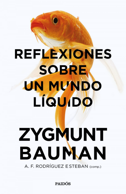 REFLEXIONES SOBRE UN MUNDO LÍQUIDO