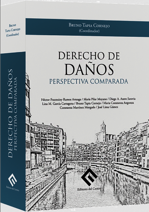 DERECHO DE DAÑOS: Perspectiva comparada