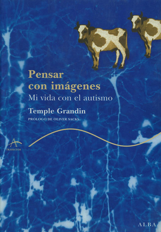 PENSAR CON IMÁGENES