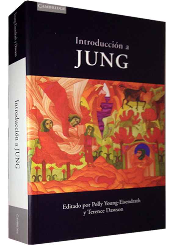 INTRODUCCIÓN A JUNG
