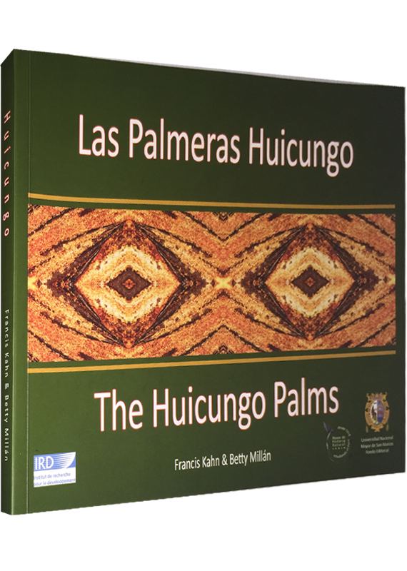 LAS PALMERAS HUICUNGO