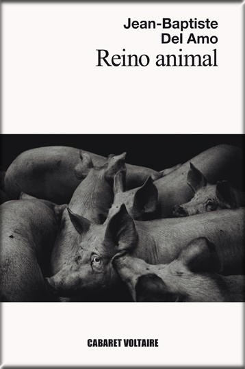 REINO ANIMAL