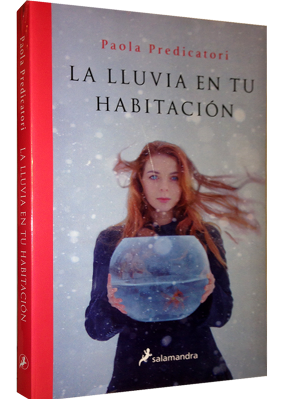 LA LLUVIA EN TU HABITACIÓN