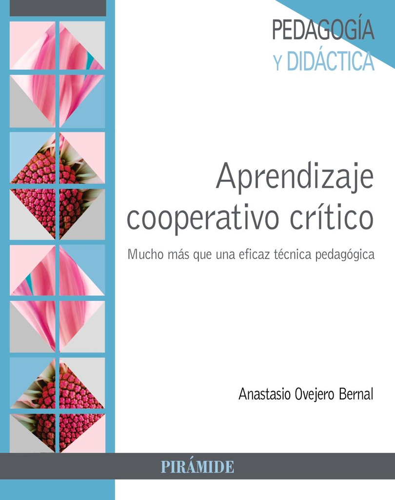 APRENDIZAJE COOPERATIVO CRÍTICO