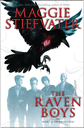 The Raven Cycle 1 (de 4): THE RAVEN BOYS