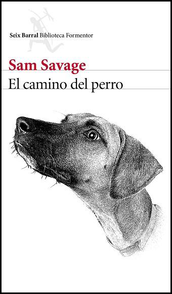 EL CAMINO DEL PERRO