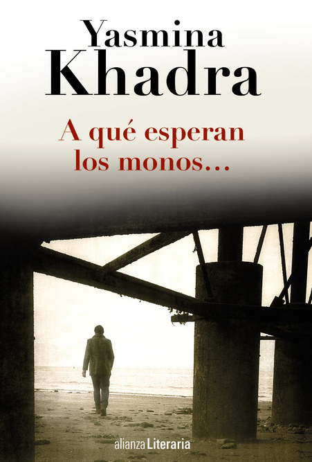 ¿qy