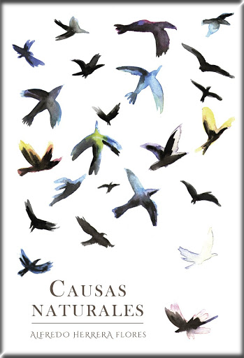 CAUSAS NATURALES