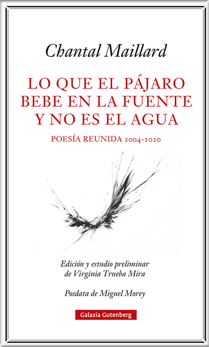 LO QUE EL PÁJARO BEBE EN LA FUENTE Y NO ES EL AGUA