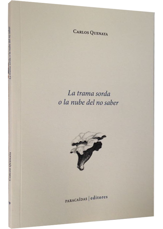 LA TRAMA SORDA O LA NUBE DEL NO SABER