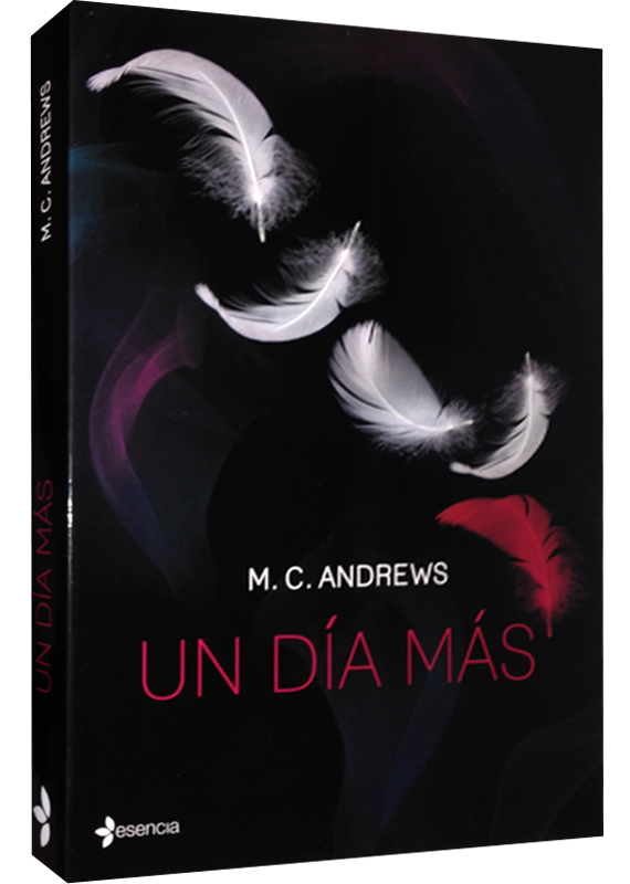 UN DÍA MÁS