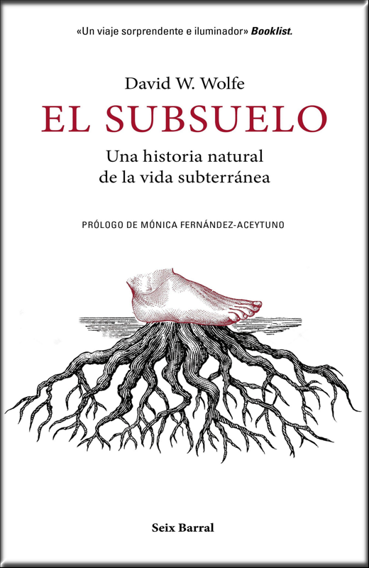 EL SUBSUELO