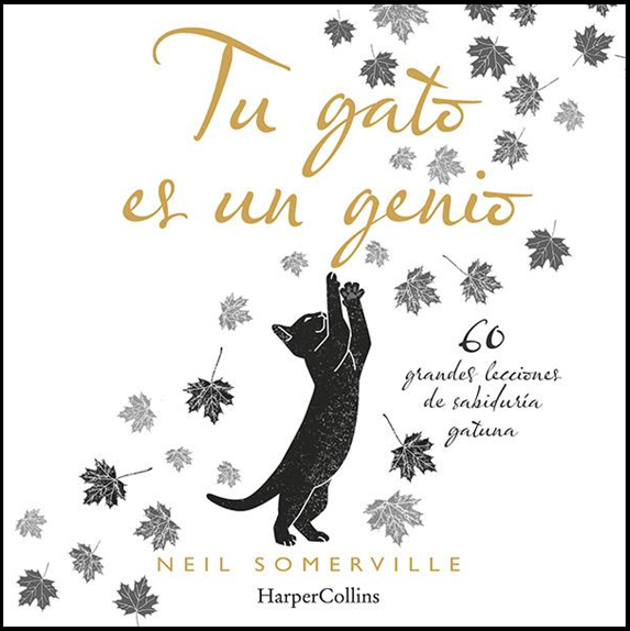 TU GATO ES UN GENIO