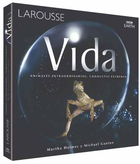 VIDA