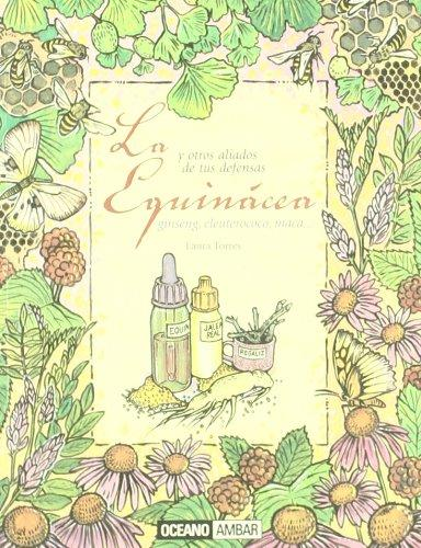 LA EQUINÁCEA