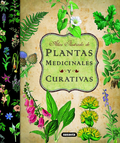 ATLAS ILUSTRADO DE LAS PLANTAS MEDICINALES Y CURATIVAS