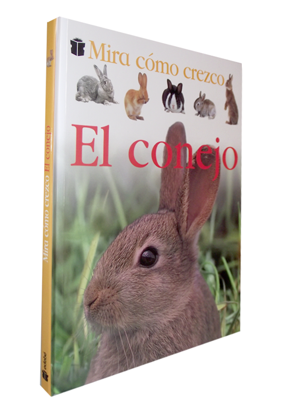 MIRA CÓMO CREZCO. EL CONEJO