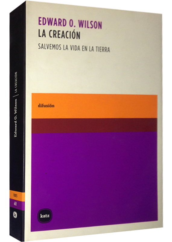LA CREACIÓN