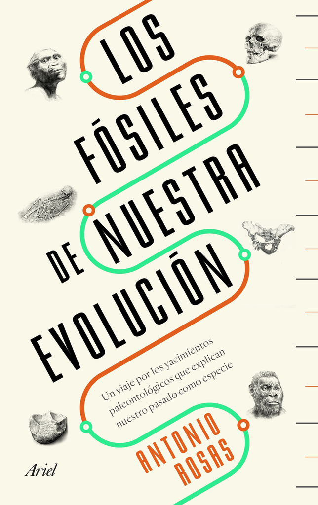 LOS FÓSILES DE NUESTRA EVOLUCION