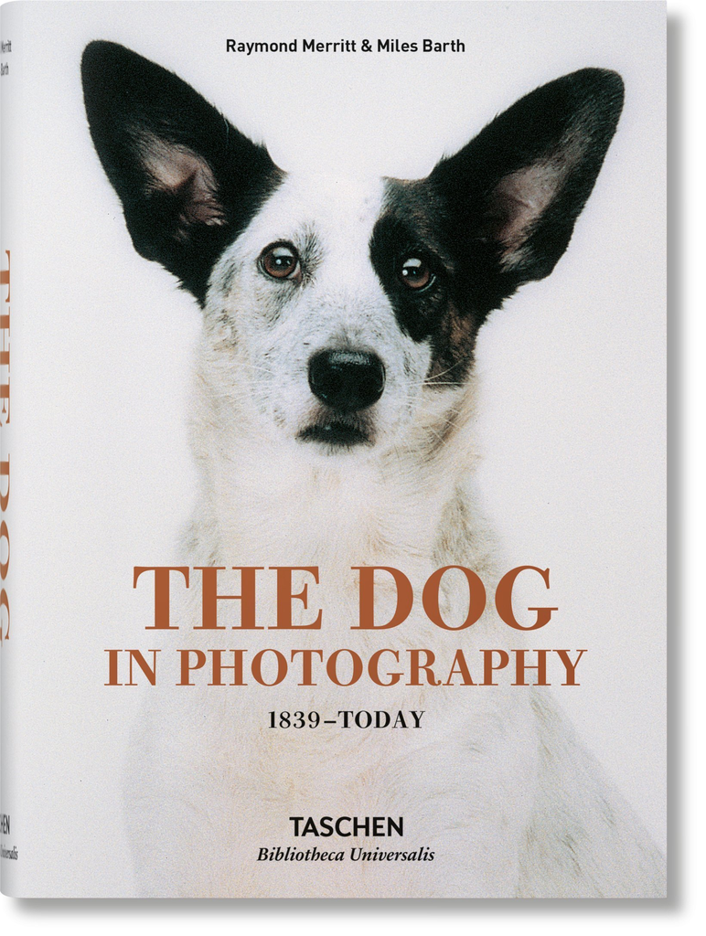THE DOG IN PHOTOGRAPHY (1839-TODAY)