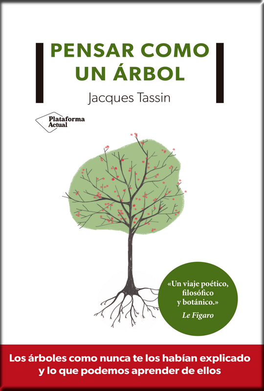 PENSAR COMO UN ÁRBOL
