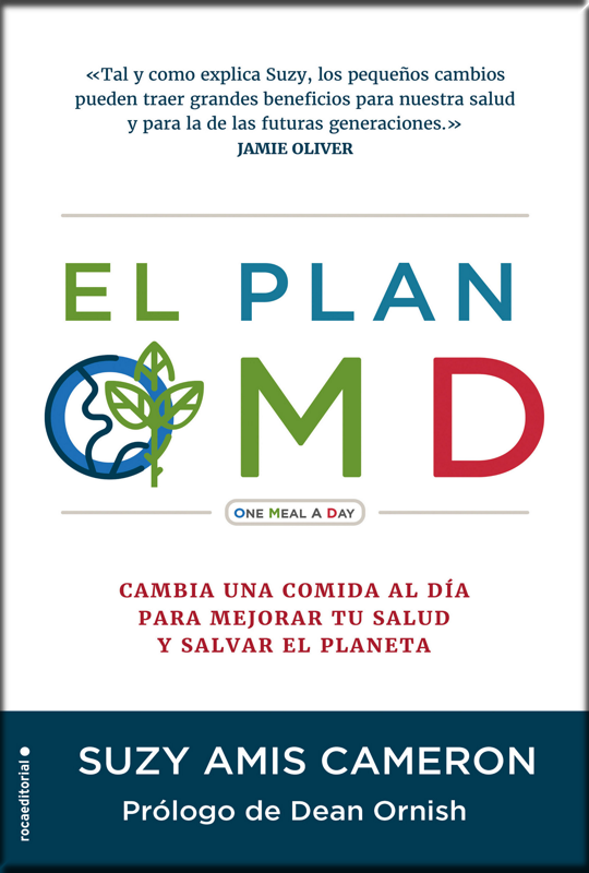 EL PLAN OMD