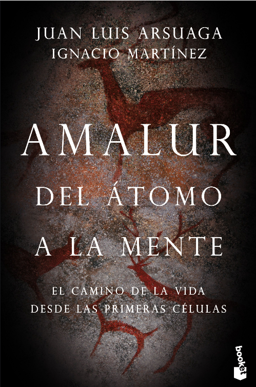AMALUR, DEL ÁTOMO A LA MENTE