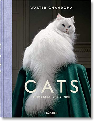 WALTER CHANDOHA. CATS: PHOTOGRAPHS 1942 - 2018