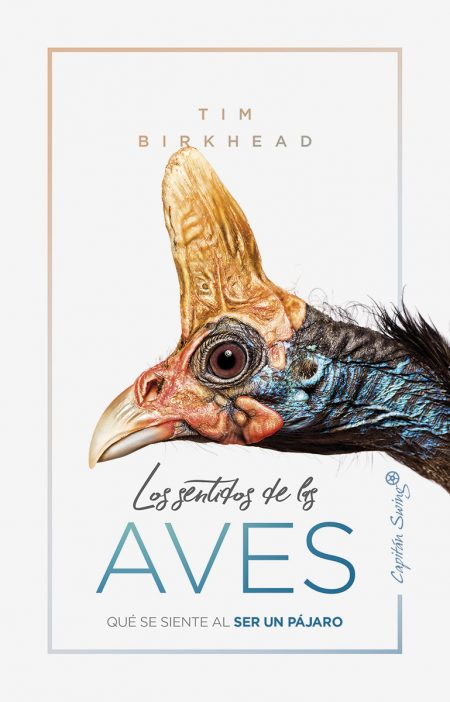 LOS SENTIDOS DE LAS AVES