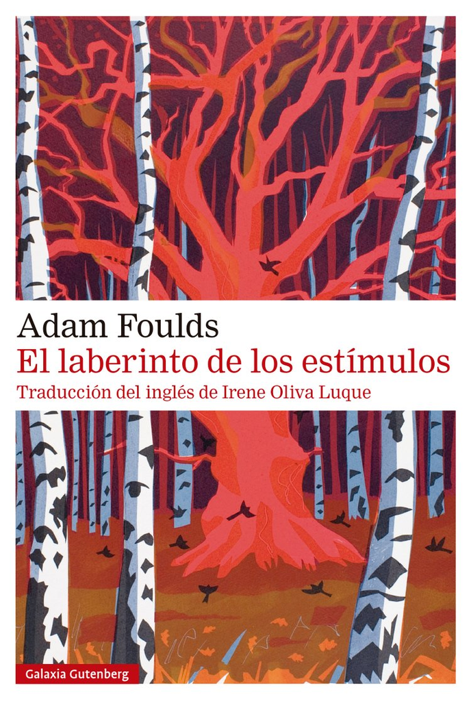 EL LABERINTO DE LOS ESTÍMULOS