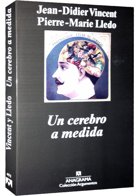 UN CEREBRO A MEDIDA