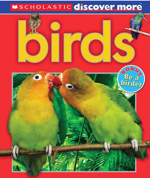 BIRDS