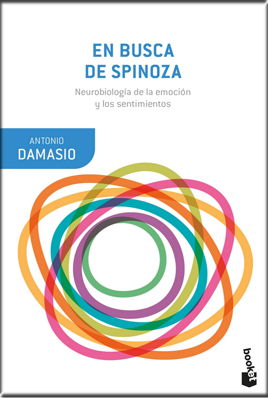 EN BUSCA DE SPINOZA