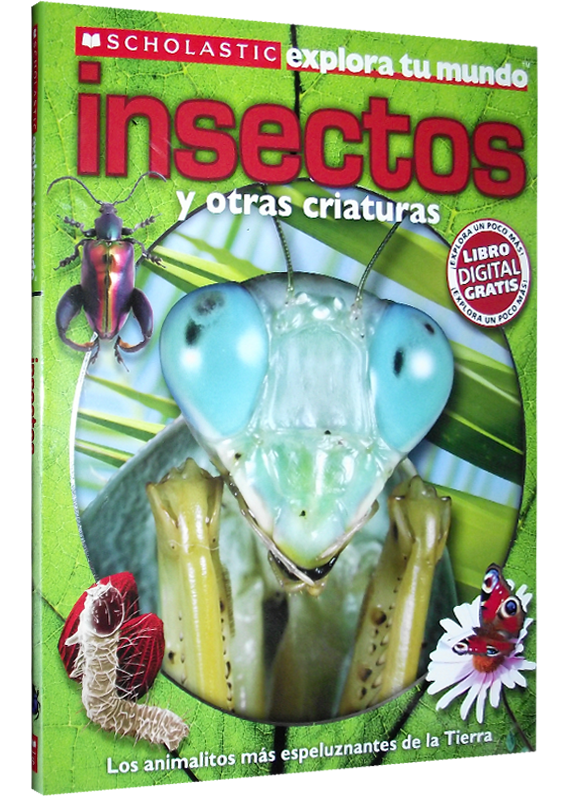 INSECTOS Y OTRAS CRIATURAS