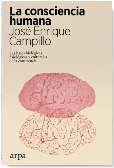 LA CONSCIENCIA HUMANA