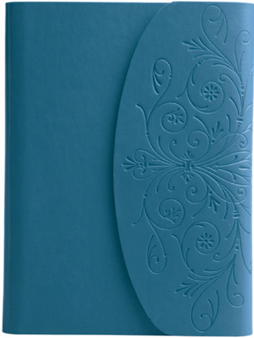 BLUE BIRDS
