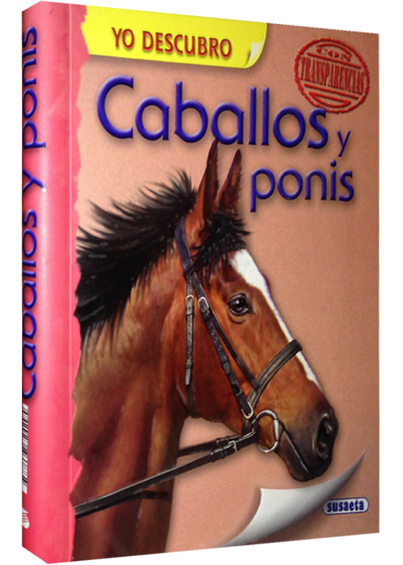 CABALLOS Y PONIS