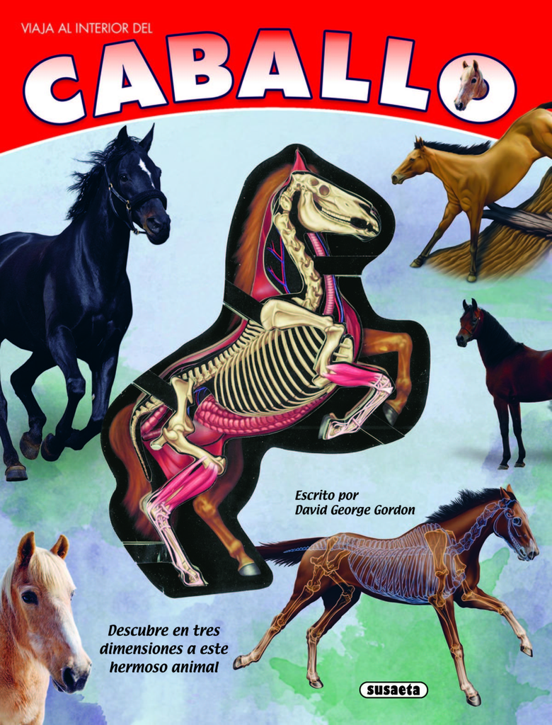 VIAJA AL INTERIOR DEL CABALLO