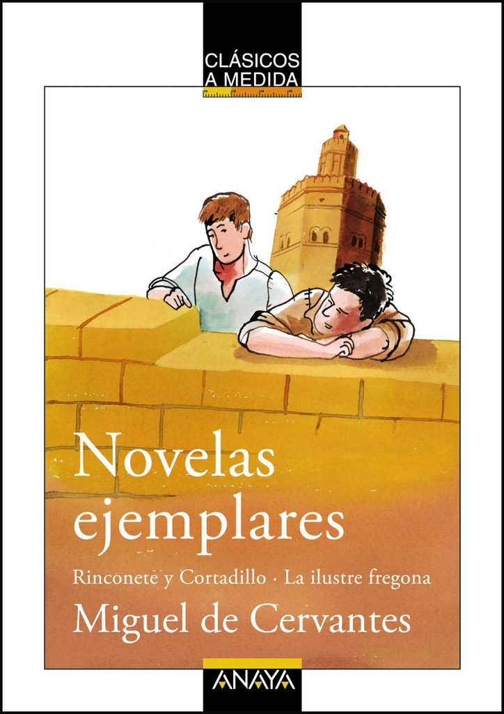 NOVELAS EJEMPLARES