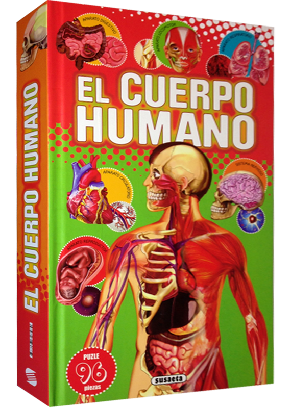 EL CUERPO HUMANO