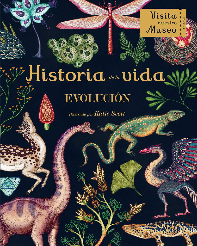 HISTORIA DE LA VIDA: Evolución (desplegable)