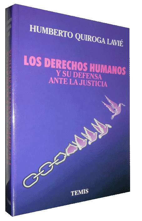 LOS DERECHOS HUMANOS Y SU DEFENSA ANTE LA JUSTICIA