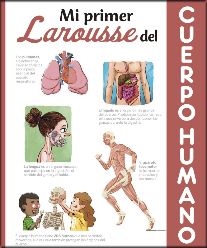MI PRIMER LAROUSSE DEL CUERPO HUMANO