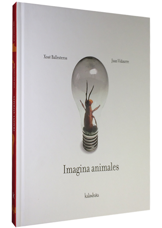 IMAGINA ANIMALES