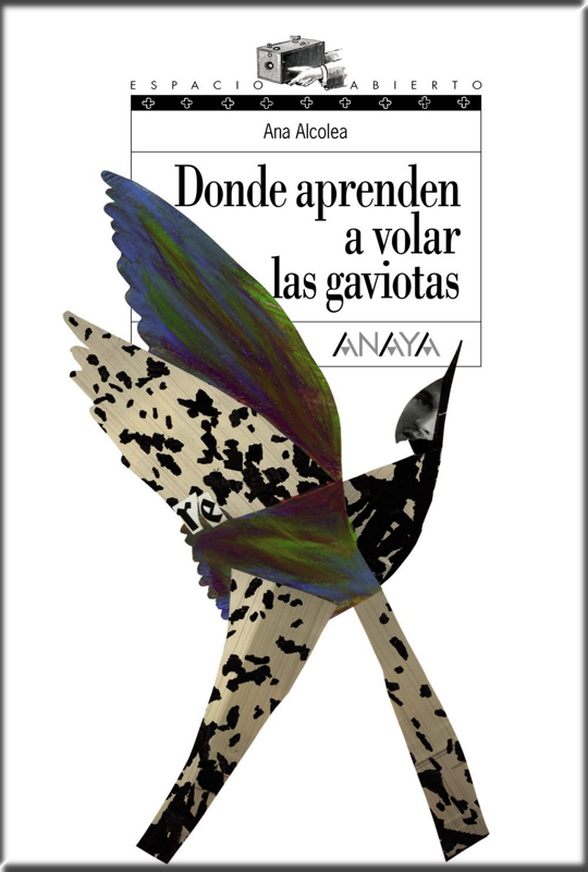 DONDE APRENDEN A VOLAR LAS GAVIOTAS