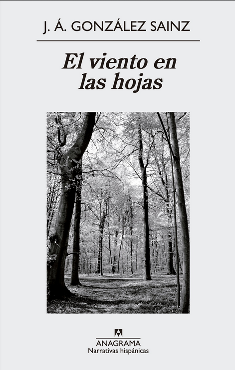 EL VIENTO EN LAS HOJAS